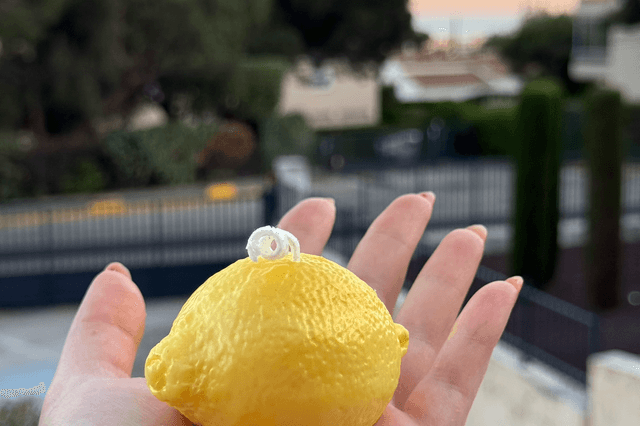 Citron de Menton 🍋