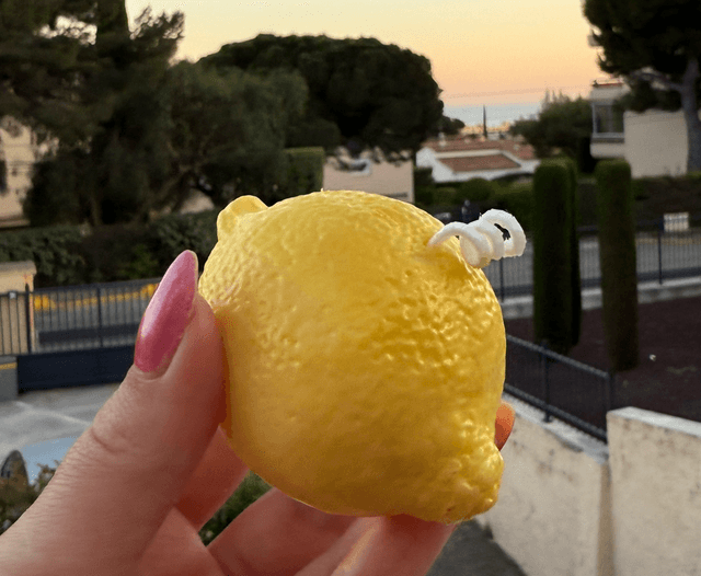 Citron de Menton 🍋